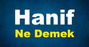 Hanif Ne Demek