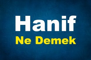 Hanif Ne Demek
