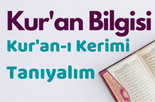 Kur'an Bilgisi